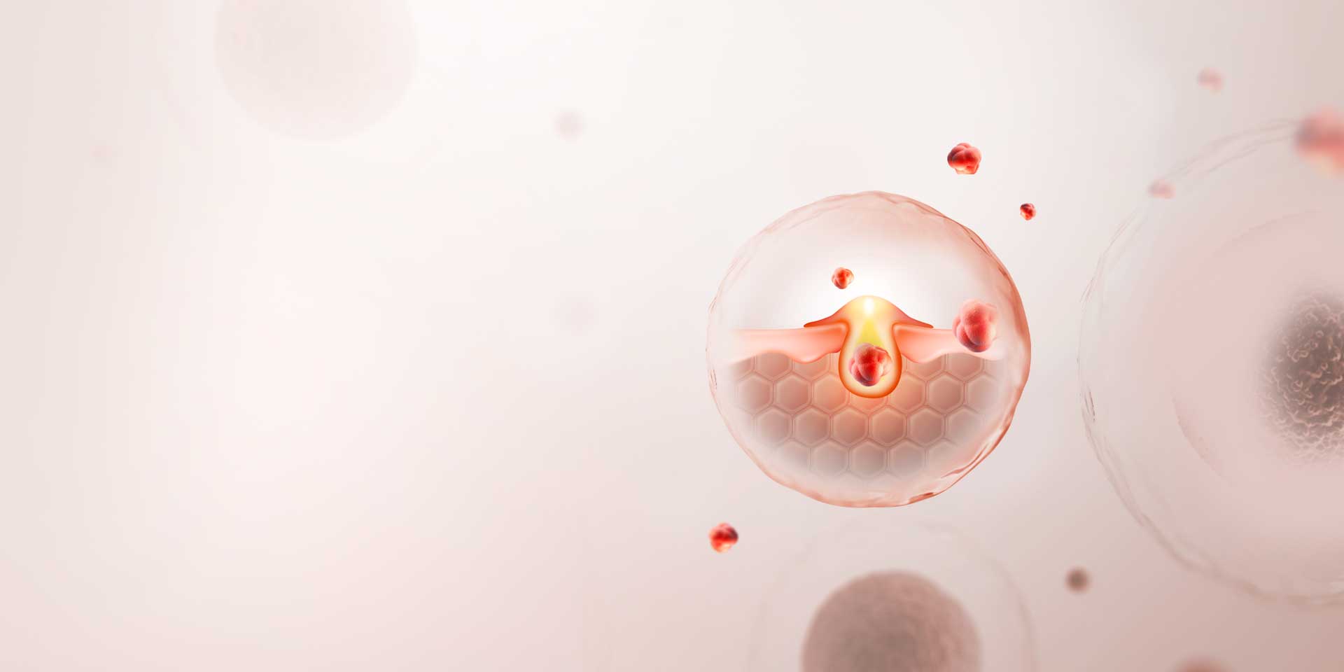 반응형 이미지